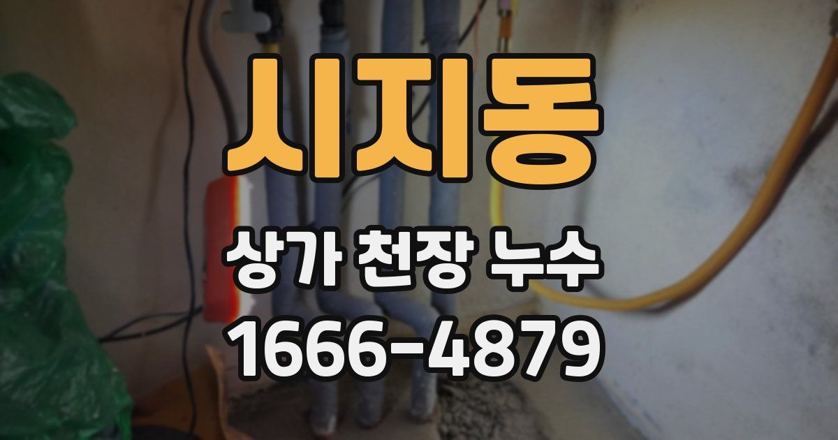 시지동 상가 천장 누수