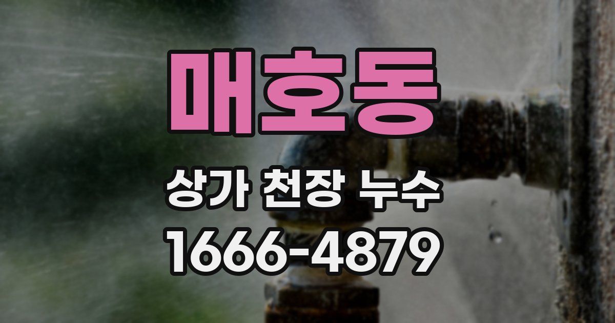 매호동 상가 천장 누수