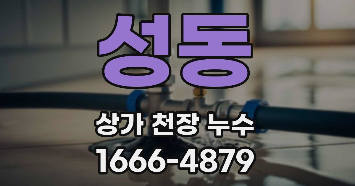 성동 상가 천장 누수