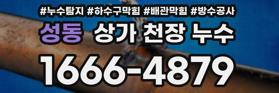 성동 상가 천장 누수