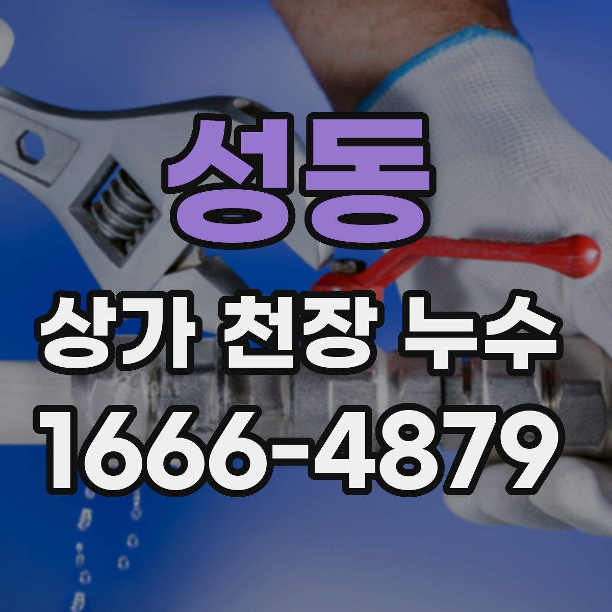성동 상가 천장 누수