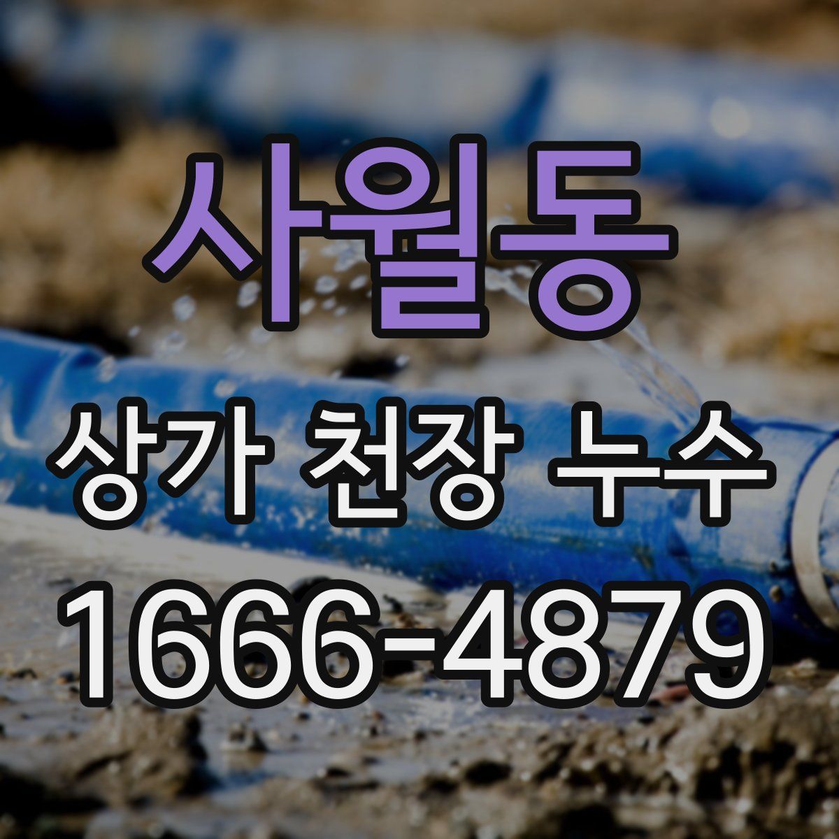 사월동 상가 천장 누수
