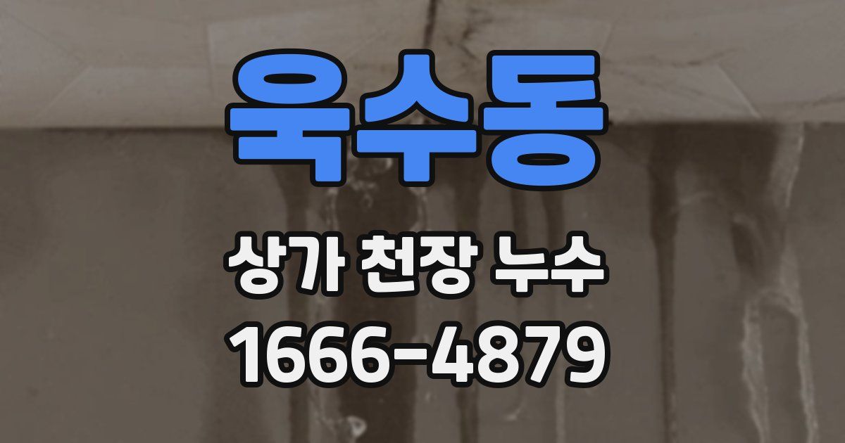 욱수동 상가 천장 누수