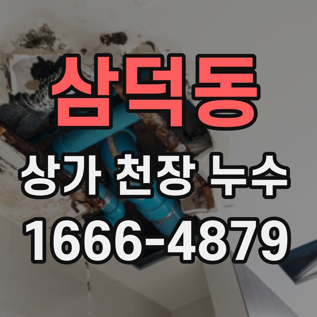 삼덕동 상가 천장 누수