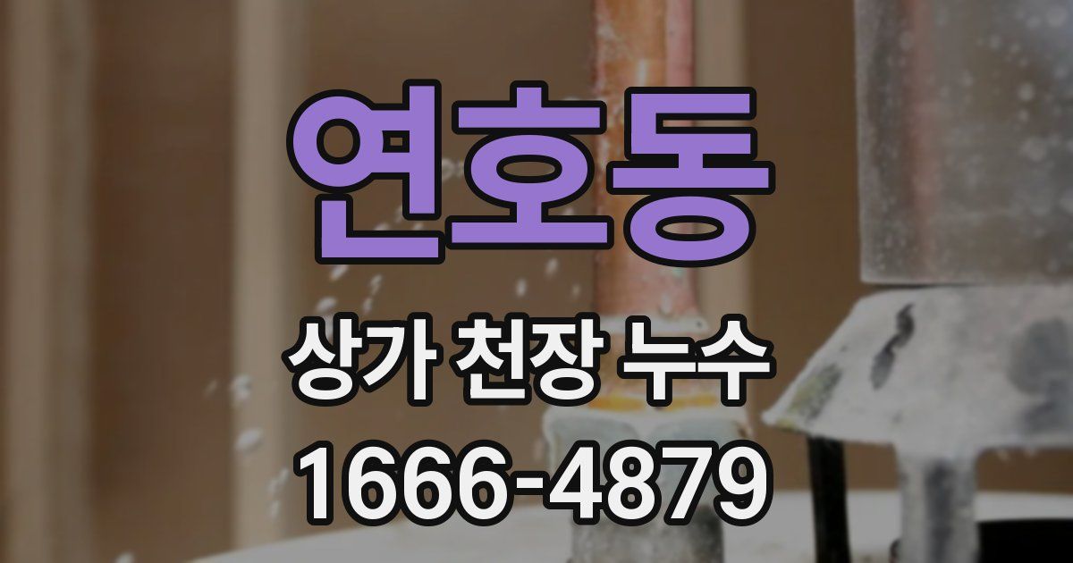 연호동 상가 천장 누수