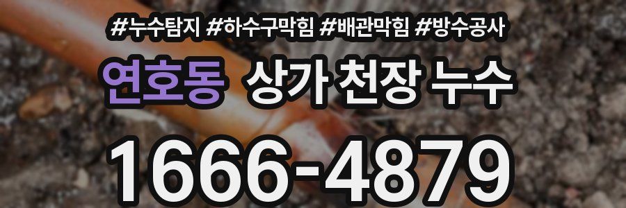 연호동 상가 천장 누수