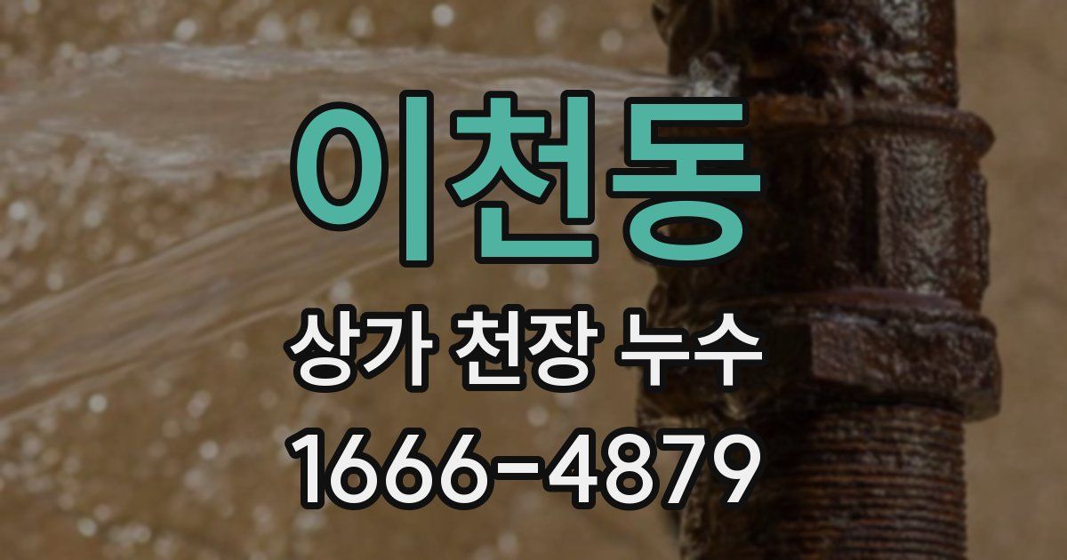 이천동 상가 천장 누수
