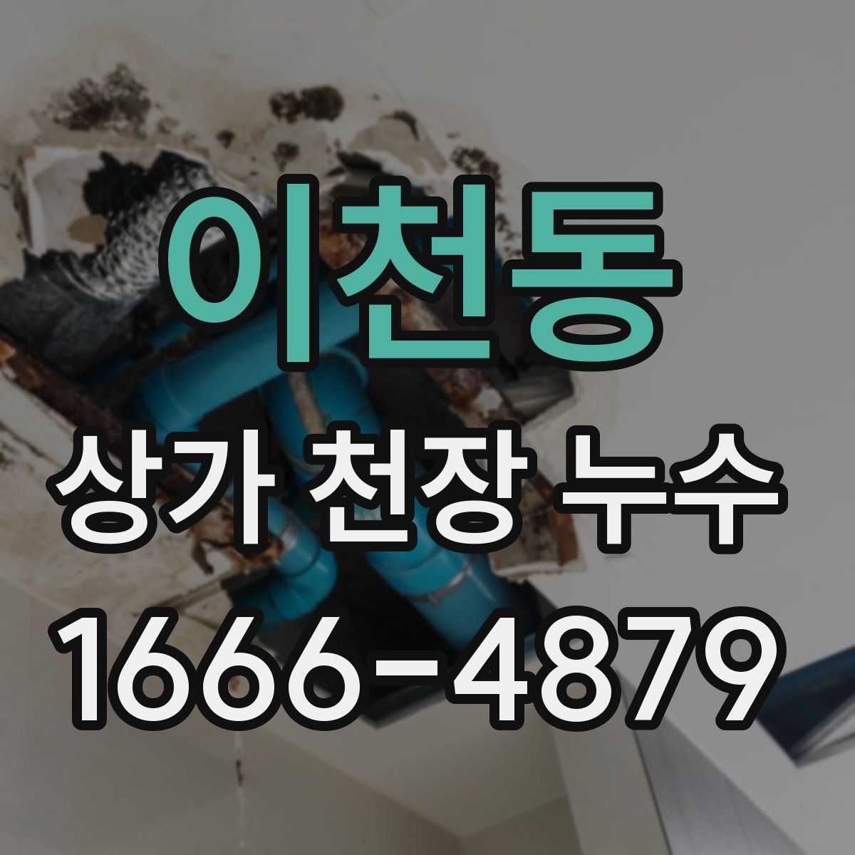 이천동 상가 천장 누수