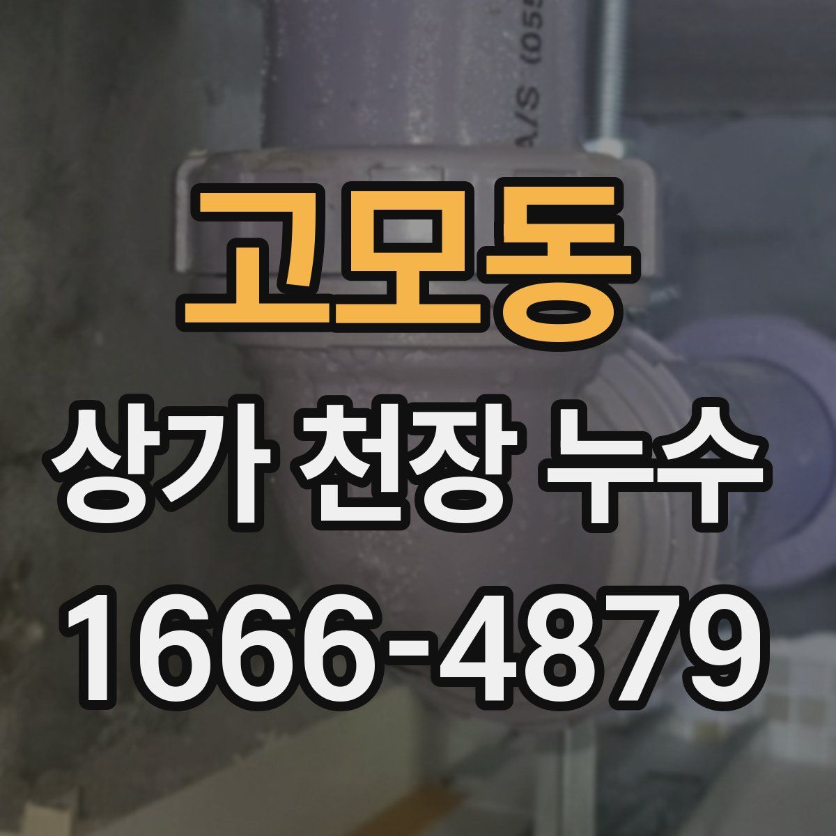 고모동 상가 천장 누수