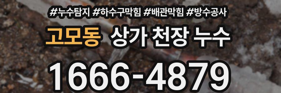 고모동 상가 천장 누수