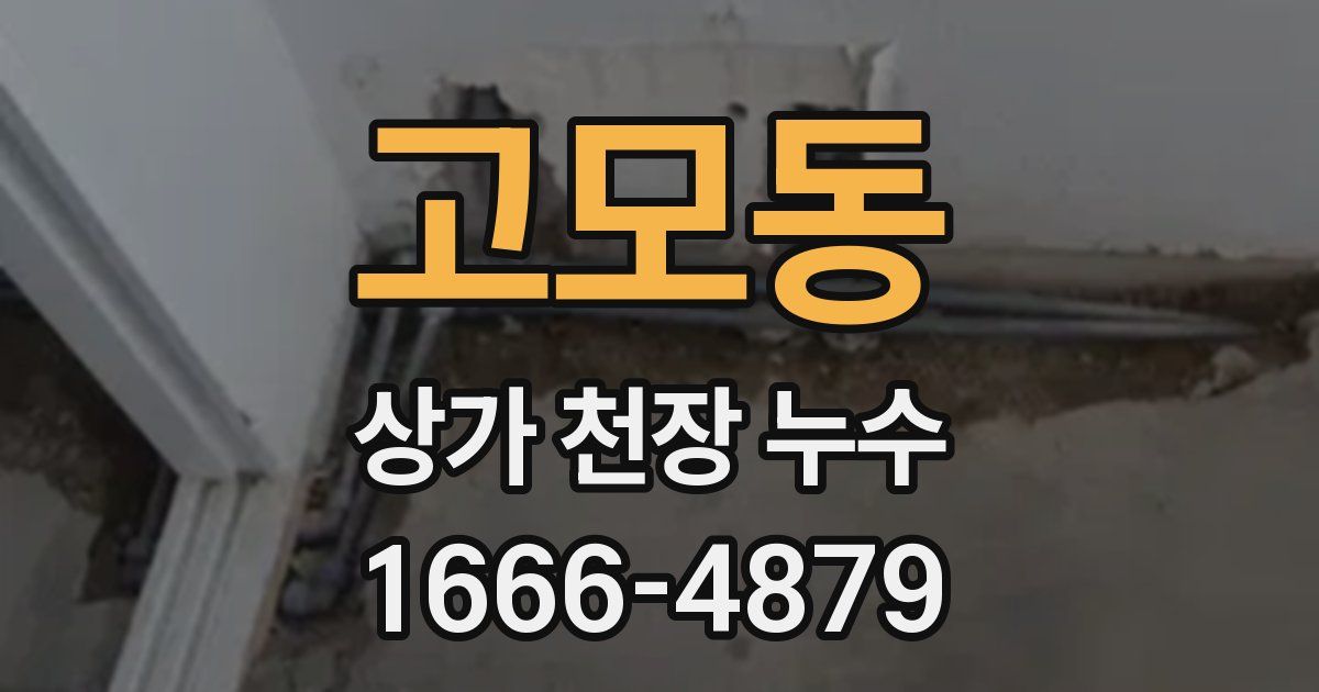 고모동 상가 천장 누수