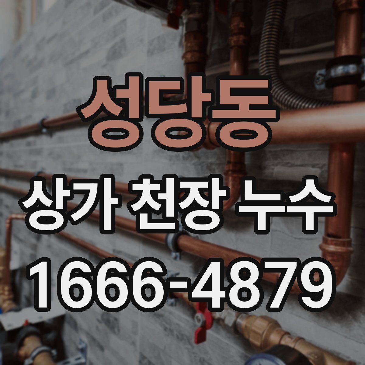 성당동 상가 천장 누수