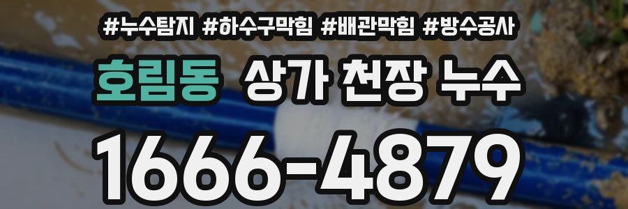 호림동 상가 천장 누수