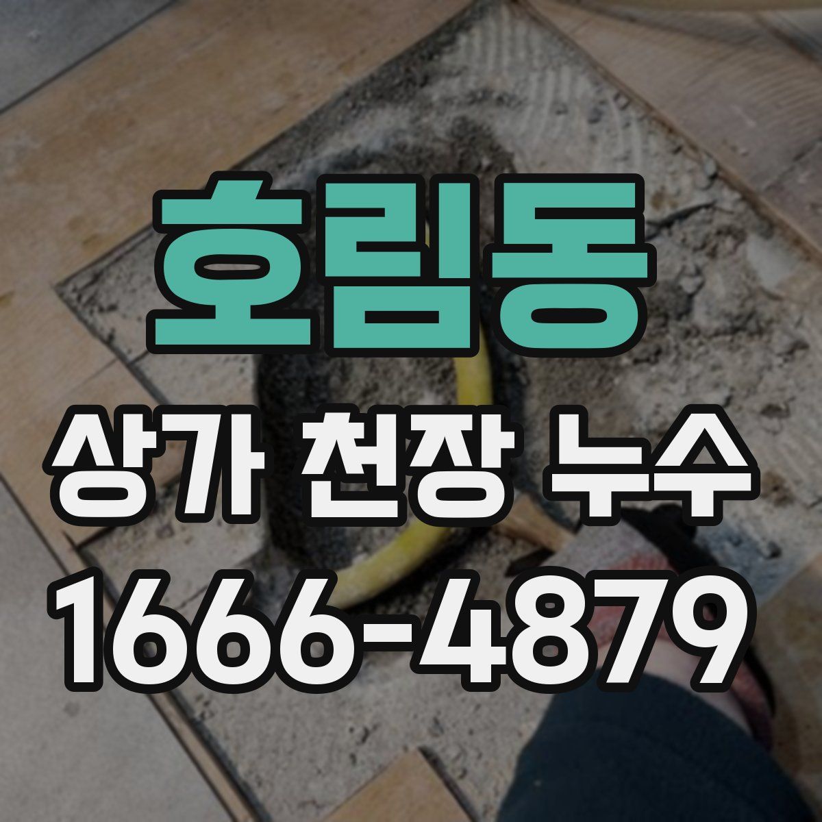 호림동 상가 천장 누수