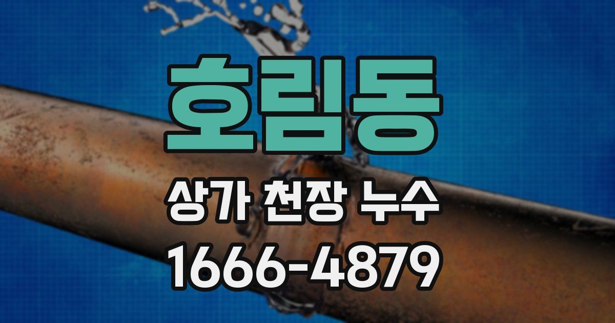호림동 상가 천장 누수