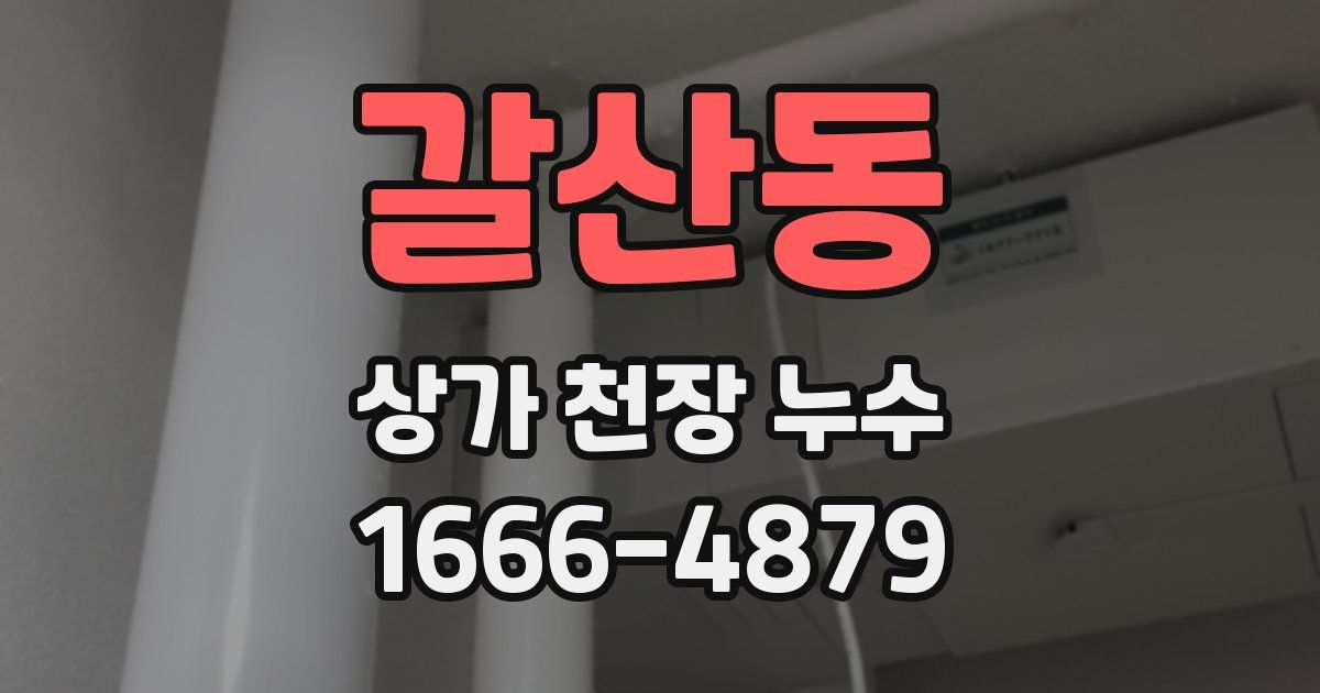 갈산동 상가 천장 누수