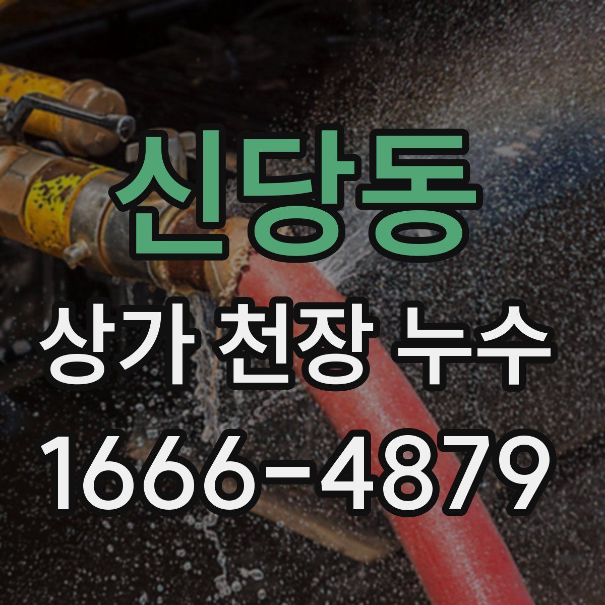 신당동 상가 천장 누수