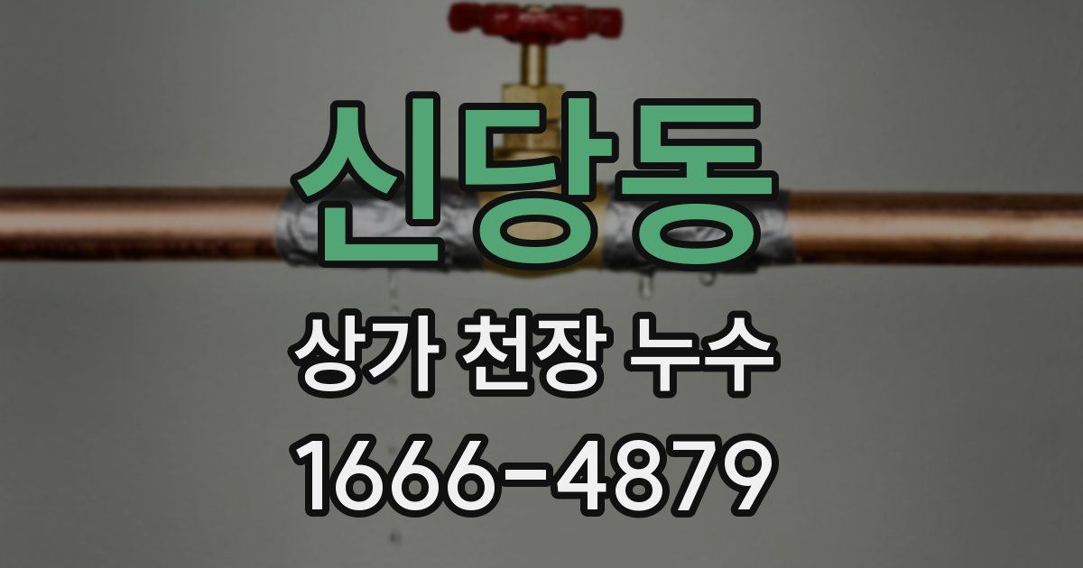 신당동 상가 천장 누수