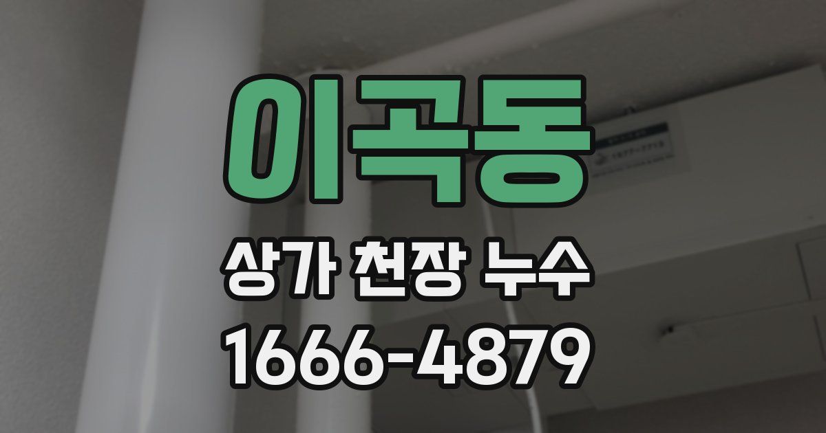 이곡동 상가 천장 누수
