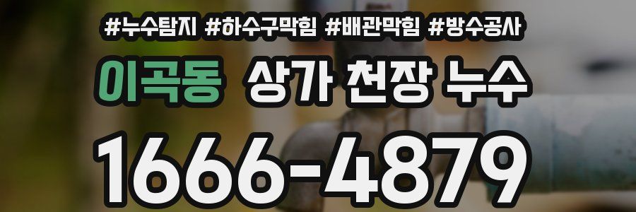 이곡동 상가 천장 누수