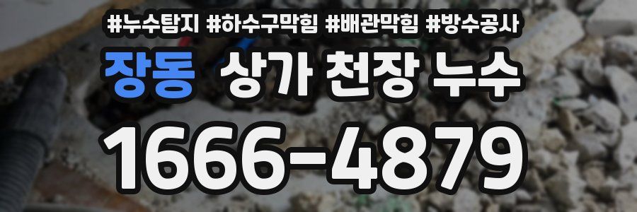 장동 상가 천장 누수