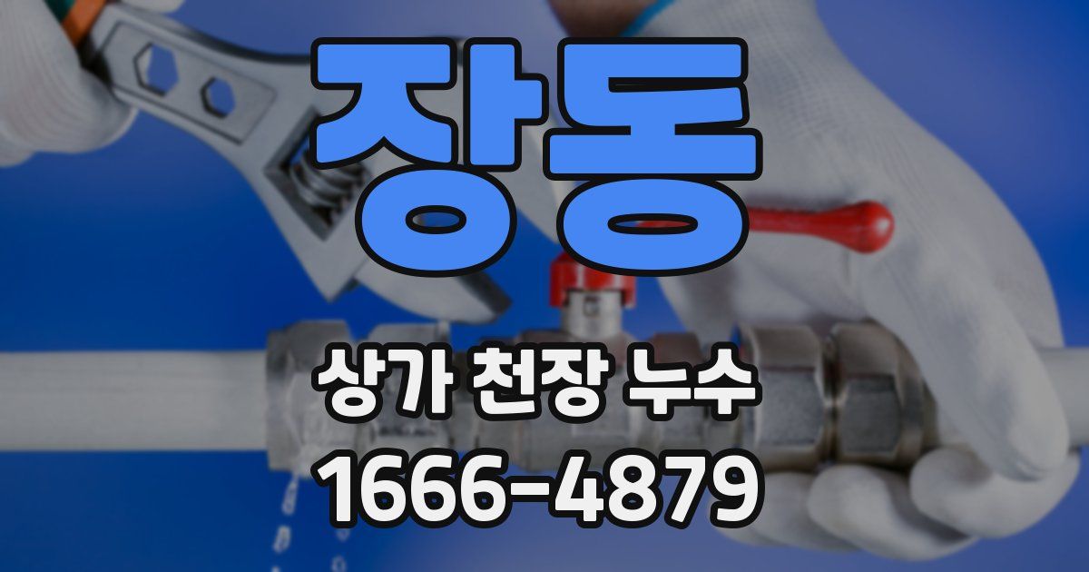 장동 상가 천장 누수