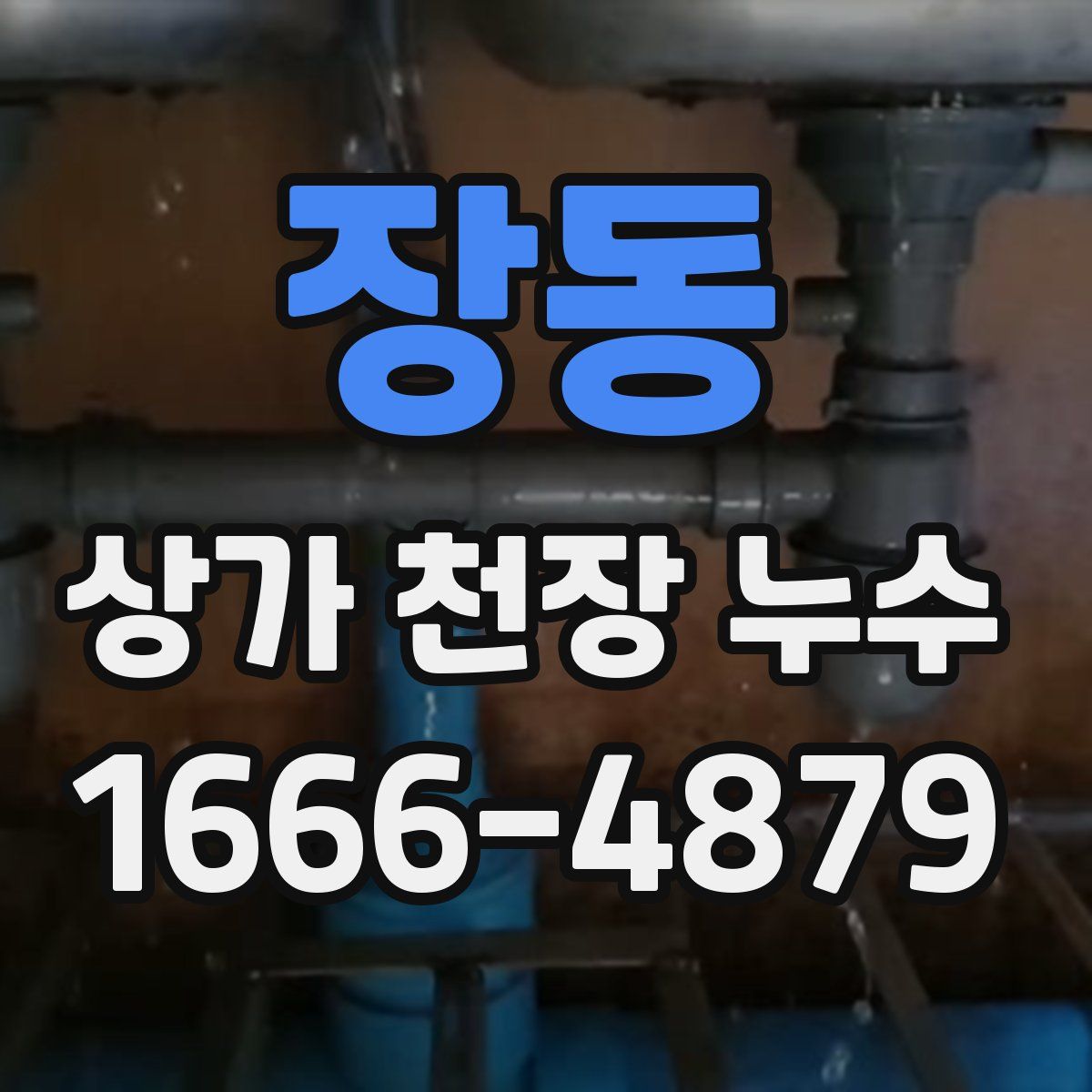 장동 상가 천장 누수