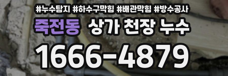 죽전동 상가 천장 누수