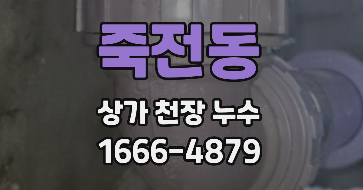 죽전동 상가 천장 누수