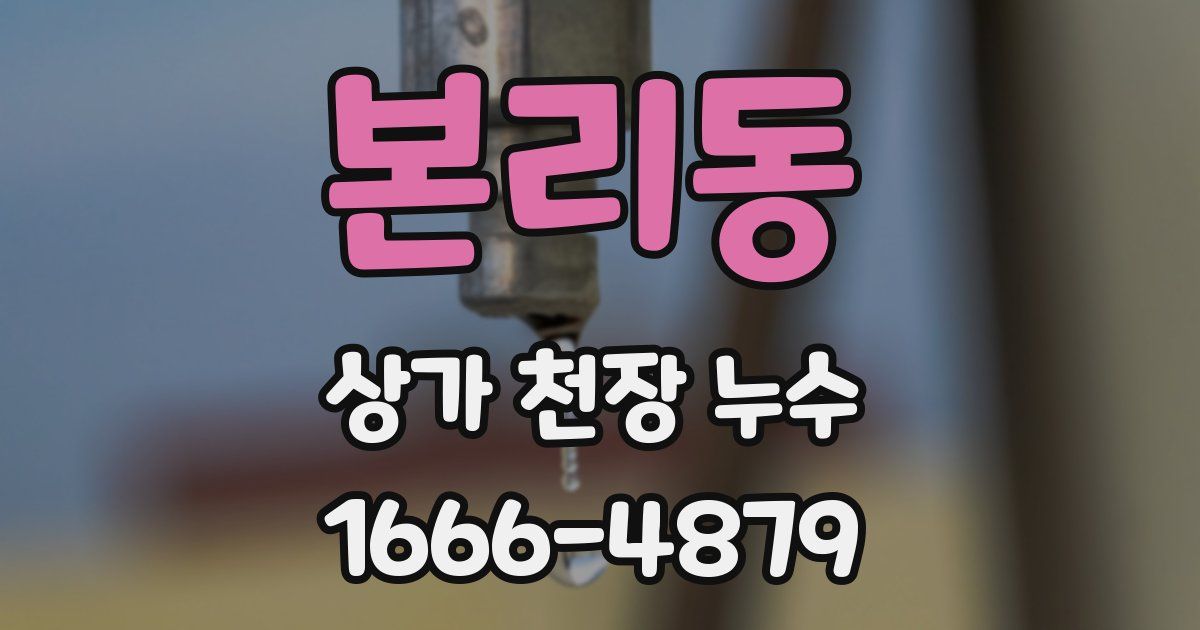 본리동 상가 천장 누수