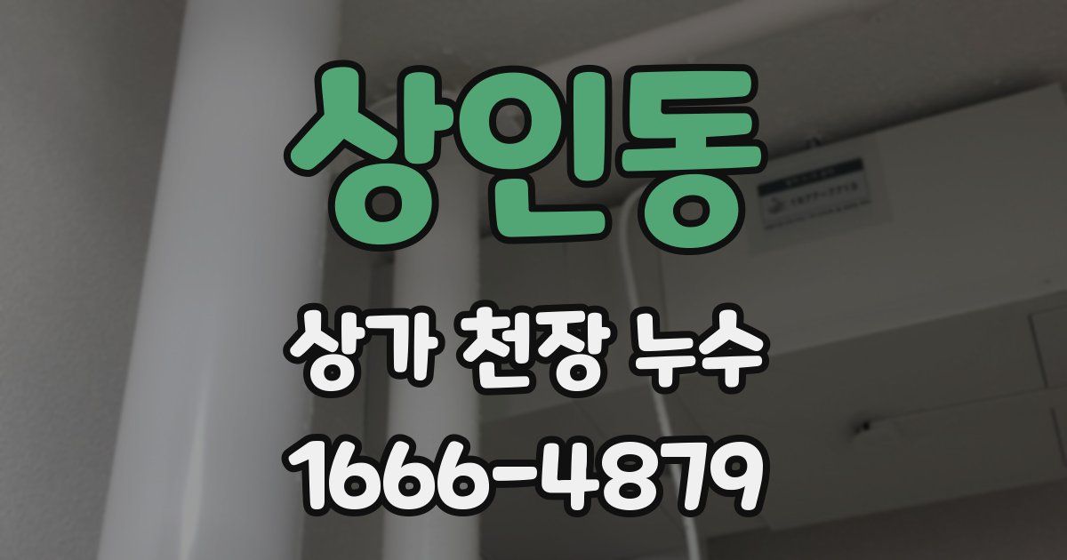상인동 상가 천장 누수