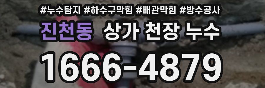 진천동 상가 천장 누수