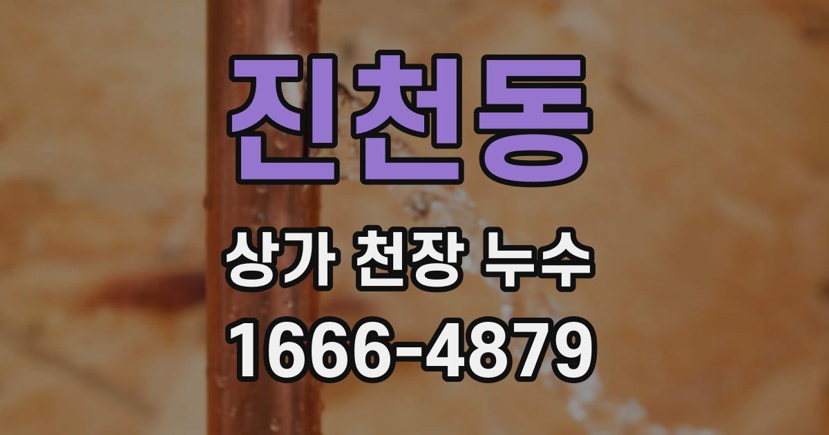 진천동 상가 천장 누수