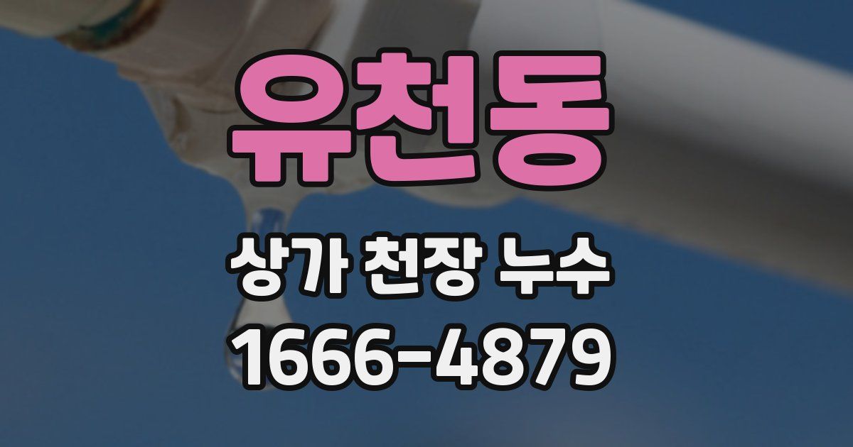 유천동 상가 천장 누수