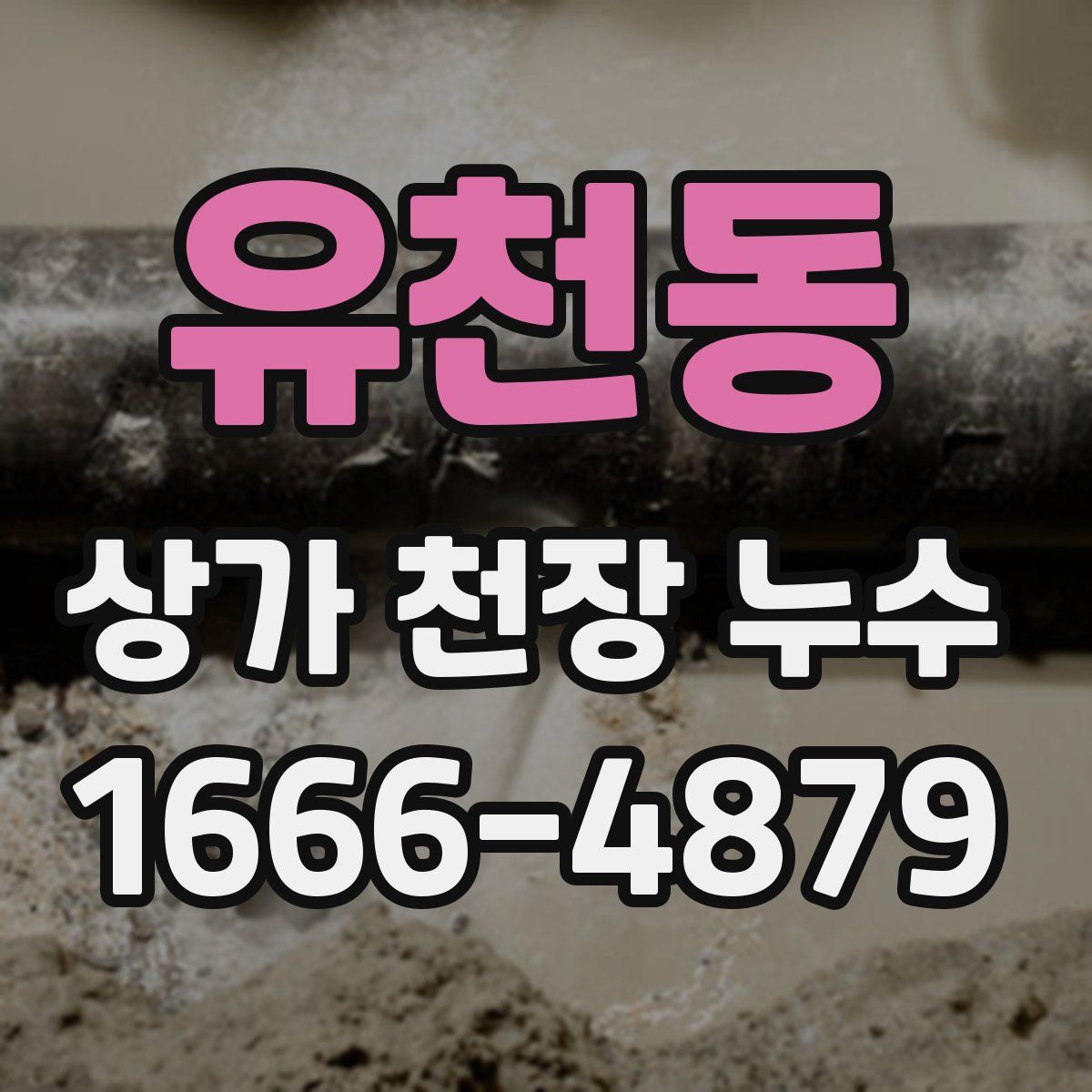 유천동 상가 천장 누수