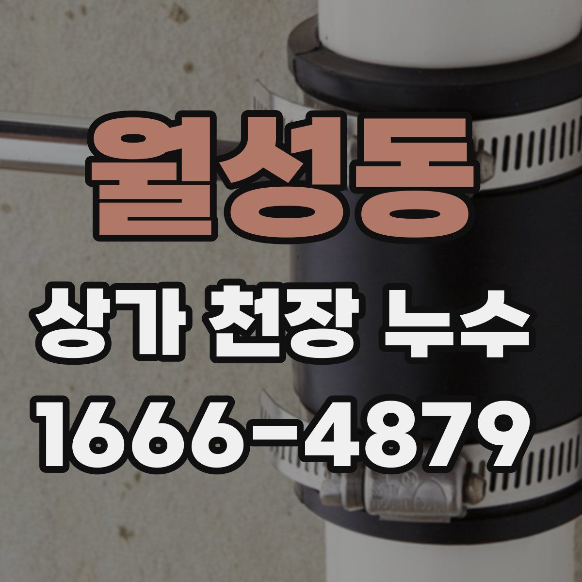 월성동 상가 천장 누수