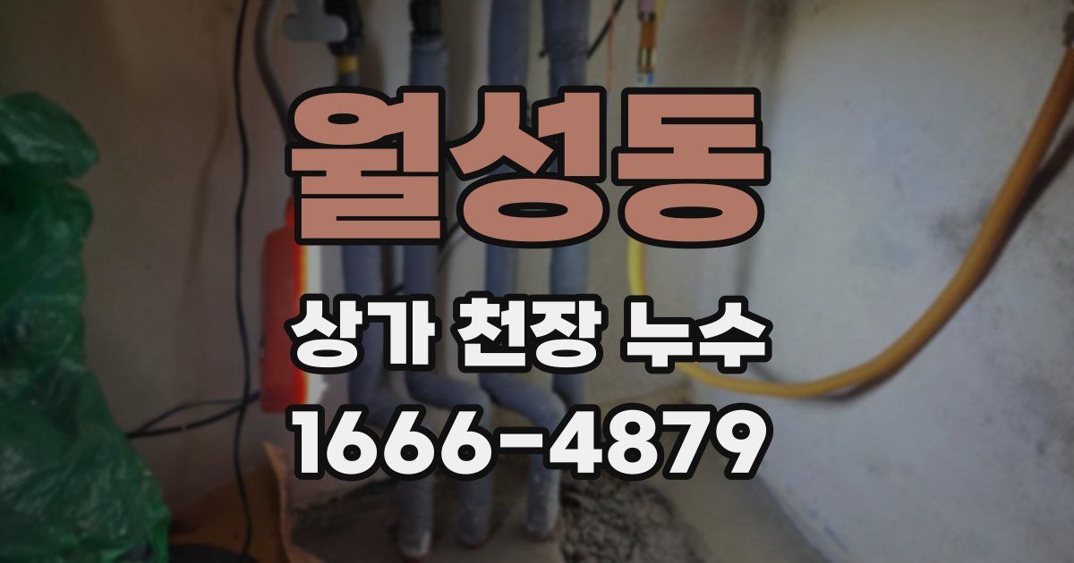 월성동 상가 천장 누수