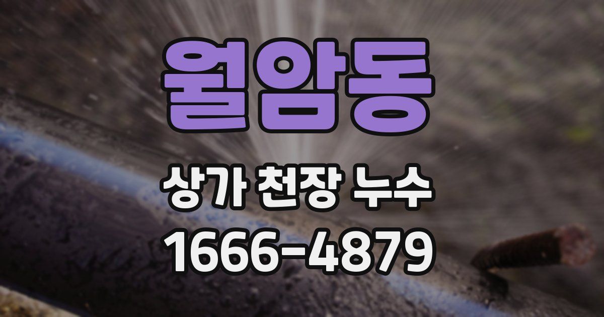 월암동 상가 천장 누수