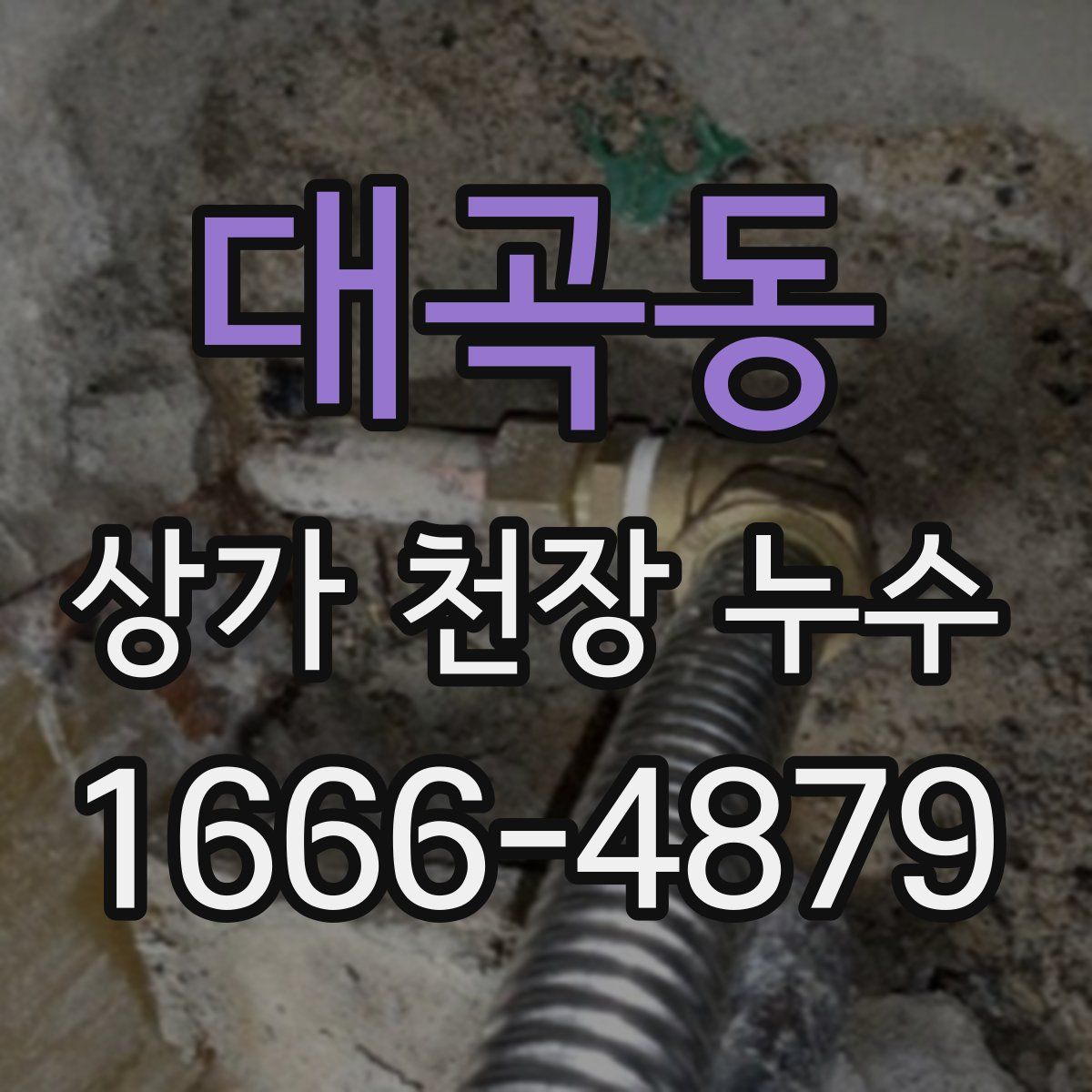 대곡동 상가 천장 누수