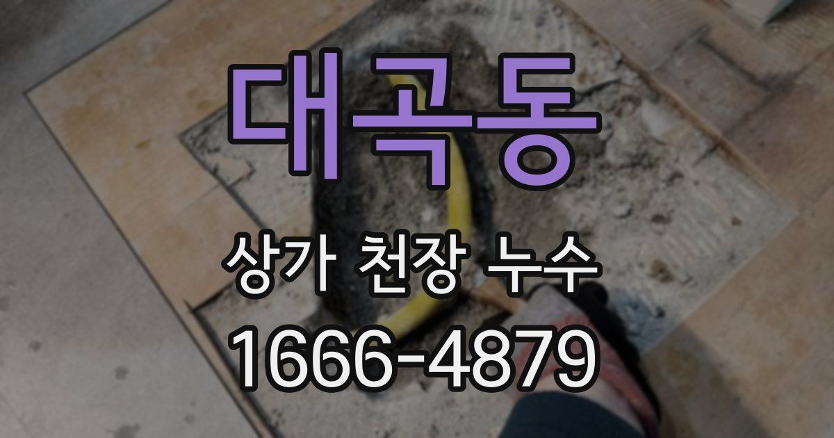 대곡동 상가 천장 누수