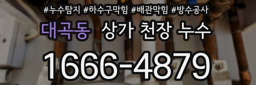 대곡동 상가 천장 누수