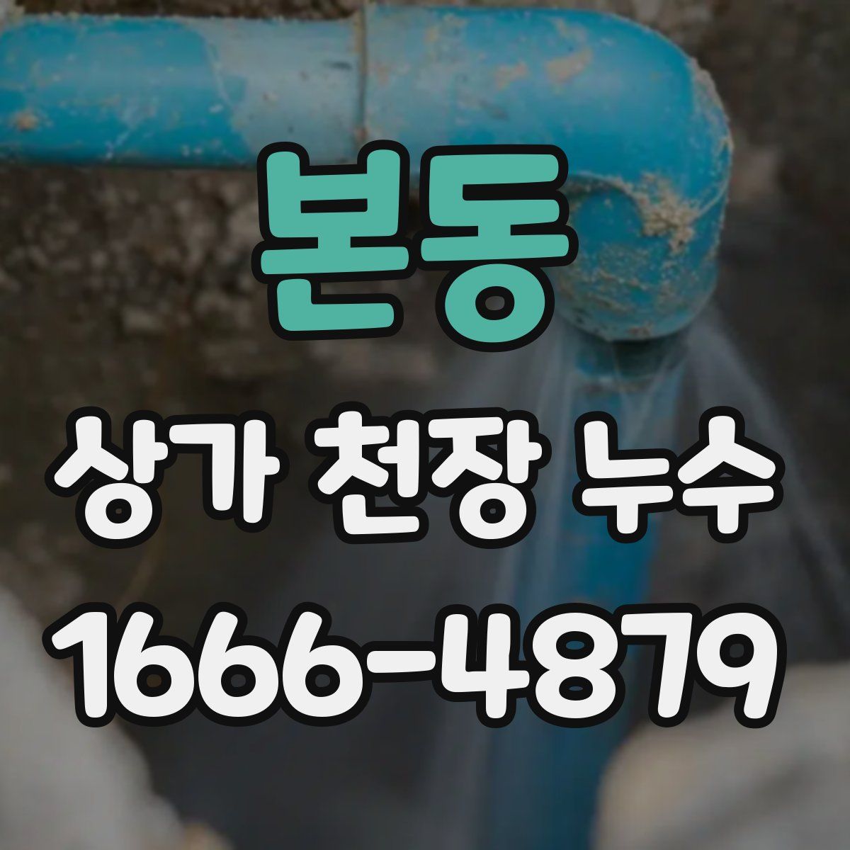 본동 상가 천장 누수