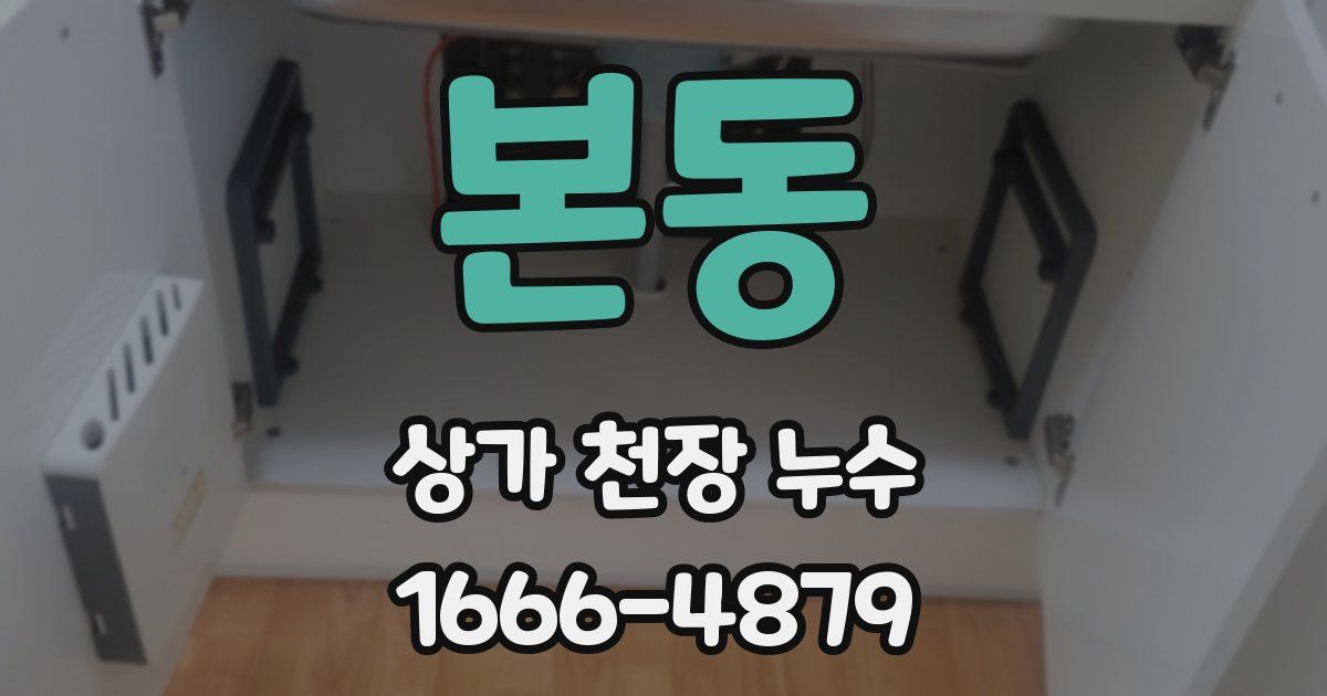 본동 상가 천장 누수