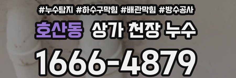 호산동 상가 천장 누수