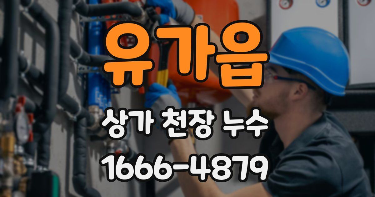 유가읍 상가 천장 누수