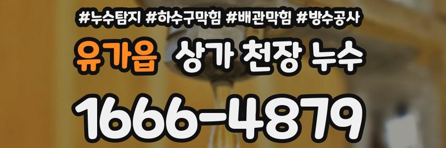 유가읍 상가 천장 누수