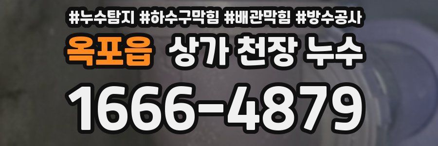 옥포읍 상가 천장 누수