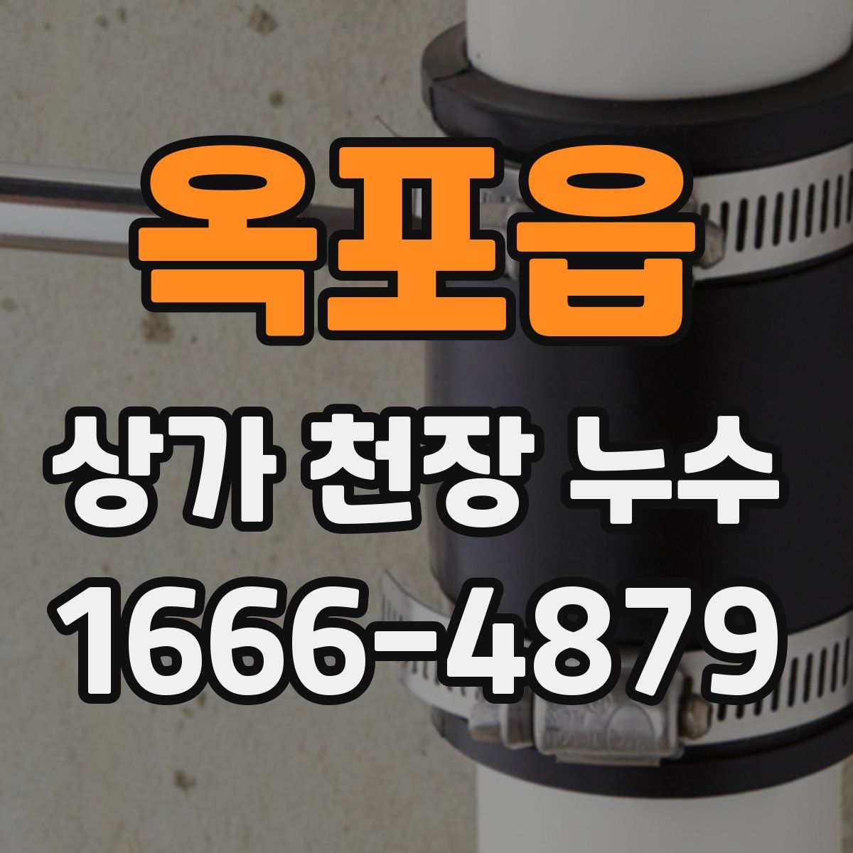 옥포읍 상가 천장 누수