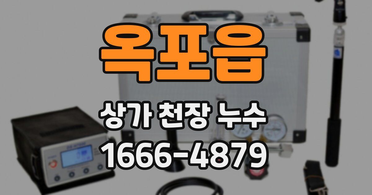 옥포읍 상가 천장 누수