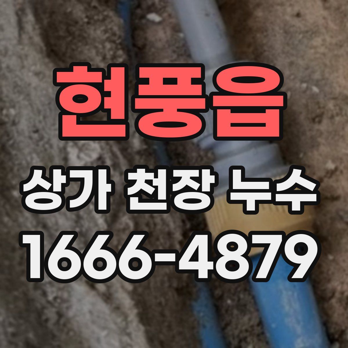 현풍읍 상가 천장 누수